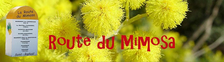 Route du Mimosa